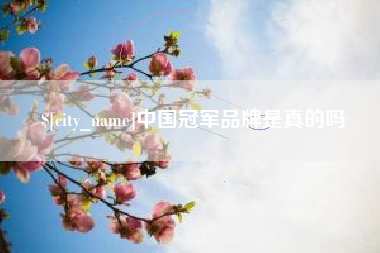 泗阳中国冠军品牌是真的吗