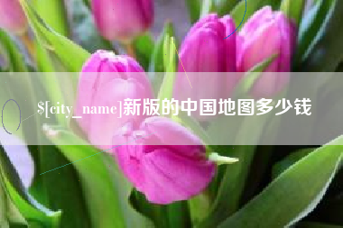 泗阳新版的中国地图多少钱