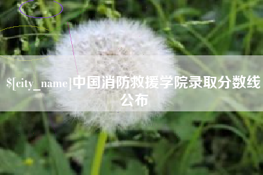 泗阳中国消防救援学院录取分数线公布