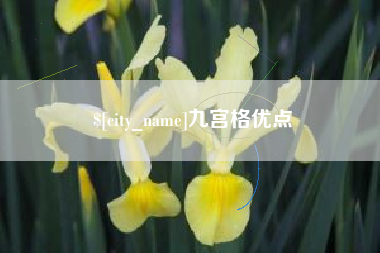 泗阳九宫格优点