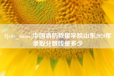 泗阳中国消防救援学院山东2020年录取分数线是多少