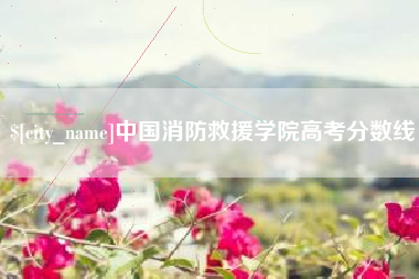 泗阳中国消防救援学院高考分数线