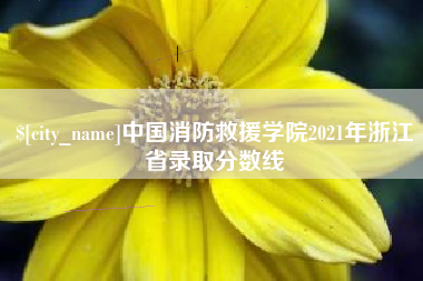 泗阳中国消防救援学院2021年浙江省录取分数线