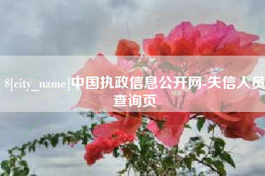 泗阳中国执政信息公开网-失信人员查询页