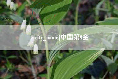 泗阳中国第9金