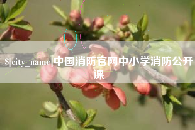 泗阳中国消防官网中小学消防公开课