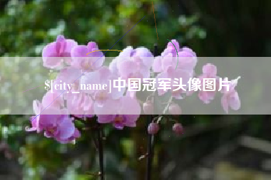 泗阳中国冠军头像图片