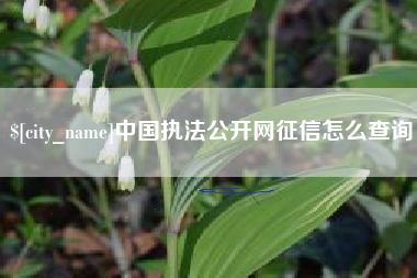 泗阳中国执法公开网征信怎么查询