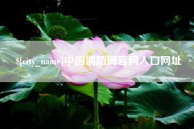 泗阳中国消防网官网入口网址