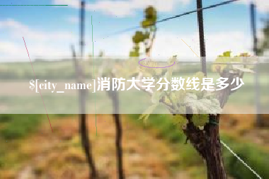 泗阳消防大学分数线是多少
