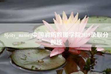 泗阳中国消防救援学院2019录取分数线