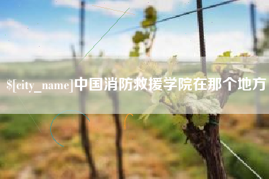 泗阳中国消防救援学院在那个地方