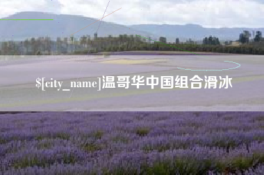 泗阳温哥华中国组合滑冰