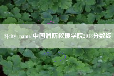 泗阳中国消防救援学院2018分数线