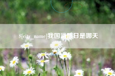 泗阳我国消防日是哪天