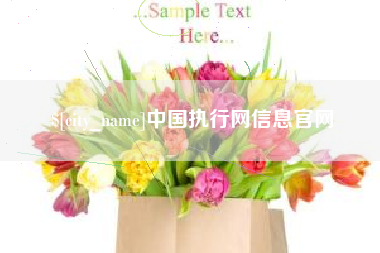 泗阳中国执行网信息官网