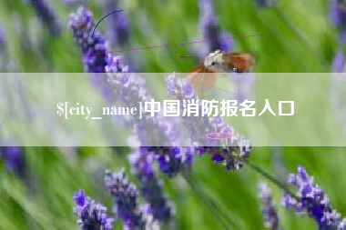 泗阳中国消防报名入口