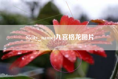 泗阳九宫格龙图片