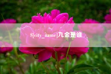 泗阳九金是谁