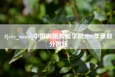泗阳中国消防救援学院2019年录取分数线