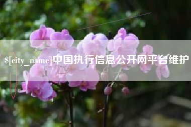 泗阳中国执行信息公开网平台维护