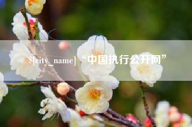 泗阳“中国执行公开网”