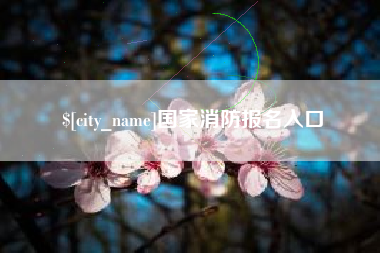 泗阳国家消防报名入口