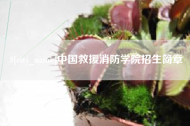 泗阳中国救援消防学院招生简章