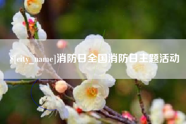 泗阳消防日全国消防日主题活动