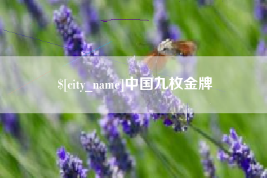 泗阳中国九枚金牌