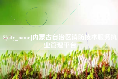 泗阳内蒙古自治区消防技术服务执业管理平台
