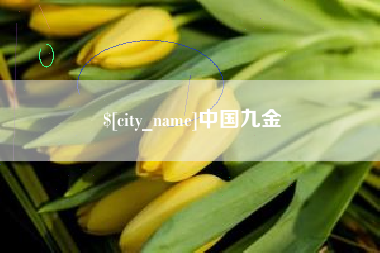 泗阳中国九金