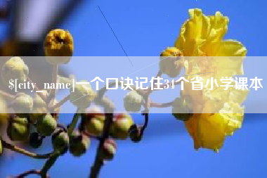 泗阳一个口诀记住34个省小学课本