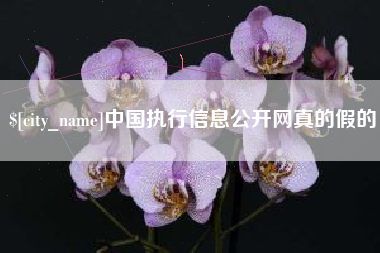 泗阳中国执行信息公开网真的假的