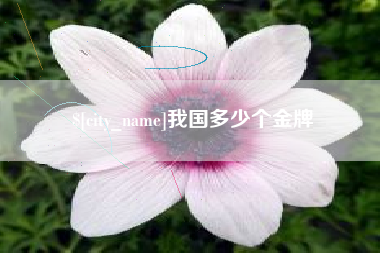 泗阳我国多少个金牌