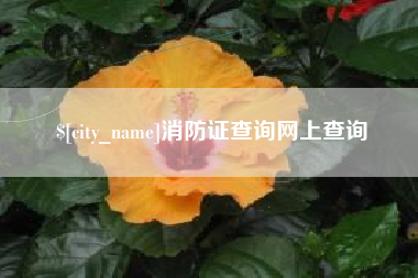 泗阳消防证查询网上查询