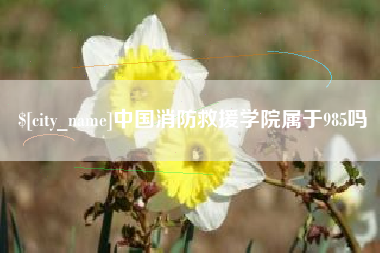 泗阳中国消防救援学院属于985吗