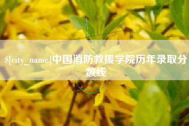 泗阳中国消防救援学院历年录取分数线