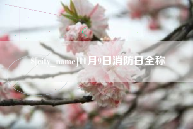 泗阳11月9日消防日全称