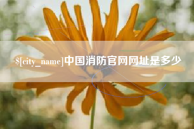 泗阳中国消防官网网址是多少