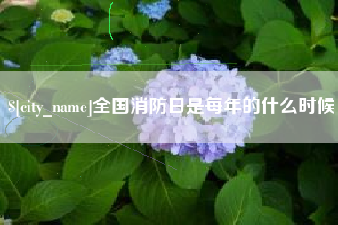 泗阳全国消防日是每年的什么时候