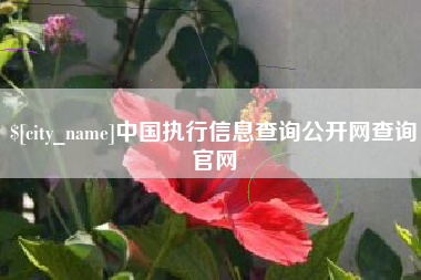 泗阳中国执行信息查询公开网查询官网