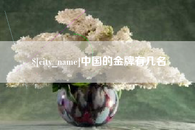 泗阳中国的金牌有几名
