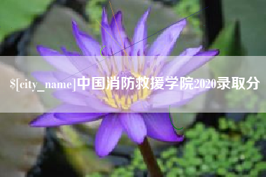 泗阳中国消防救援学院2020录取分