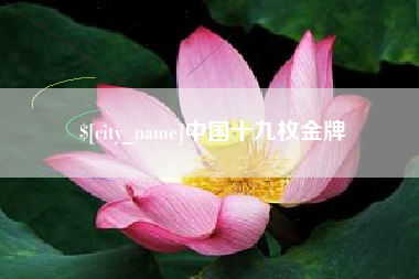 泗阳中国十九枚金牌