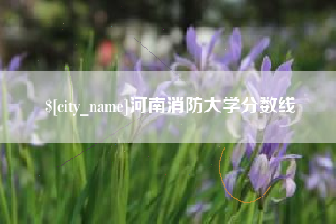泗阳河南消防大学分数线