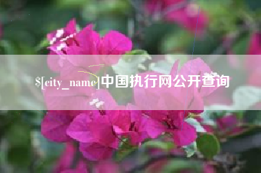泗阳中国执行网公开查询