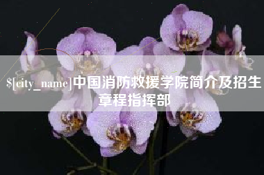 泗阳中国消防救援学院简介及招生章程指挥部