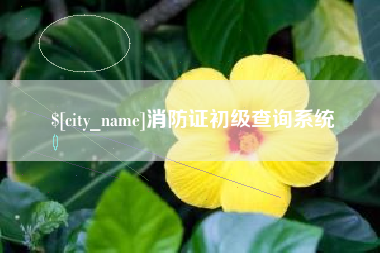 泗阳消防证初级查询系统