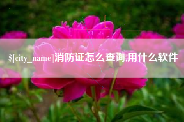 泗阳消防证怎么查询,用什么软件
